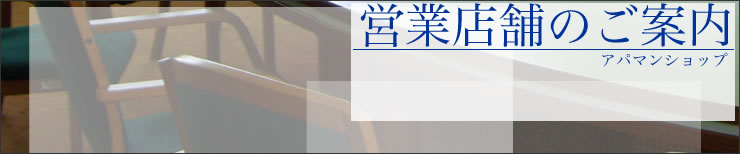 �A�p�}���V���b�v�΋��X�T�v